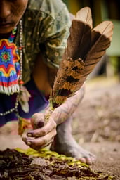 Parintins Folklore Festival