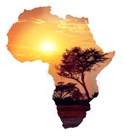 "Which African Countries Have English as an Official Language?