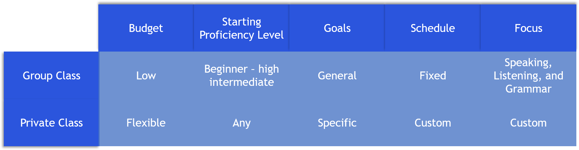 private vs group language classes