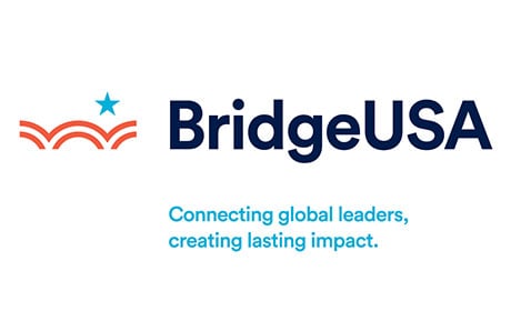 bridge usa logo