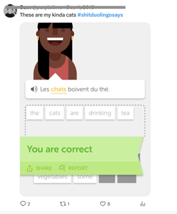 NGO language training apps